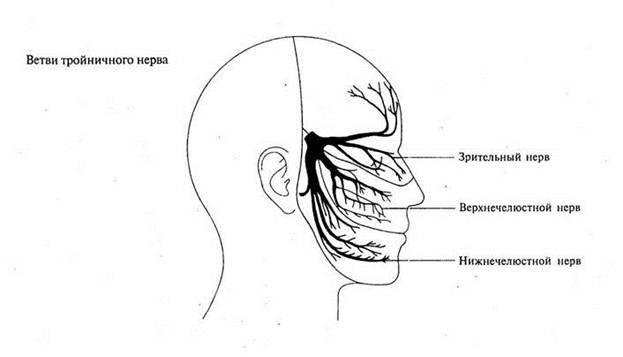 Лечение заболеваний тройничного нерва